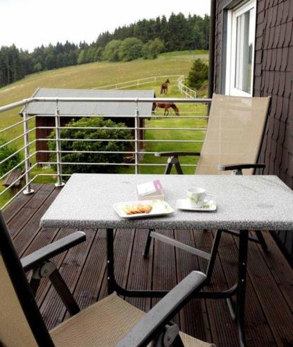 Erkély/terasz, Pension Haus Astenblick in Altastenberg
