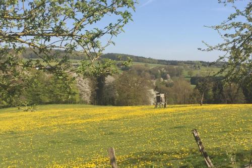 สภาพแวดล้อมโดยรอบ, Wohlfühlen in Wiehl - Drabenderhöhe (Wohlfuhlen in Wiehl - Drabenderhohe) in วีห์ล