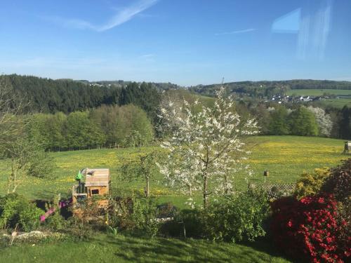 สภาพแวดล้อมโดยรอบ, Wohlfühlen in Wiehl - Drabenderhöhe (Wohlfuhlen in Wiehl - Drabenderhohe) in วีห์ล