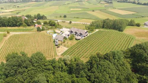 Villa Istenič - image 2