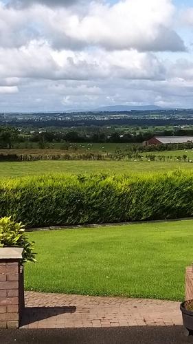 Garden, Antrim Heights B&B near Belfast Fleadh 2026 Free Parking in Newcastle