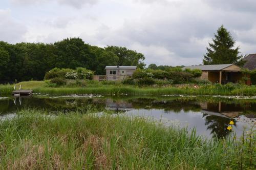 Rose Shepherds Hut - image 11