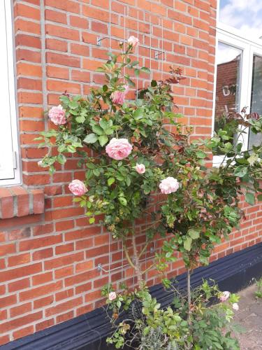 Gredstedbro Hotel - image 13