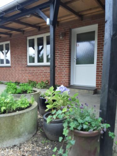 Gredstedbro Hotel - image 2