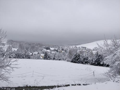 Ferienwohnung Bimmelbahn-Blick - image 5