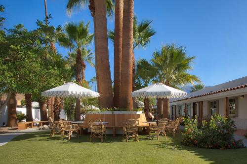 215810313 Dive Palm Springs