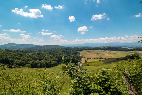  Lackenbauer, 8505 Muggenau