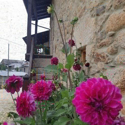  Casa da Edra in Montezinho