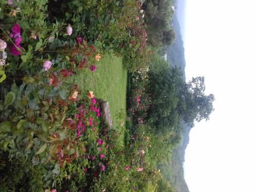 B&B The Roses Garden in Millesimo