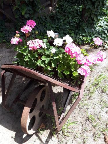  Ildikó Vendégház in Kerepes