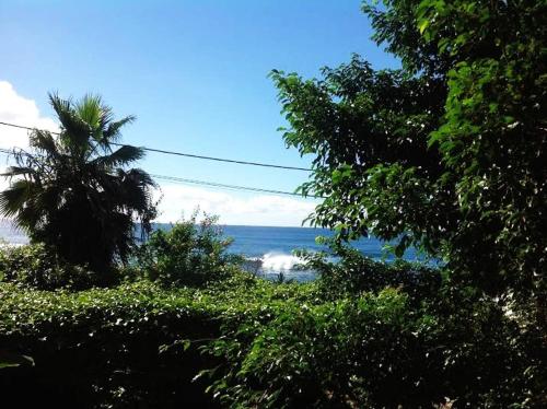 Charming 2BR with Refreshing Ocean View