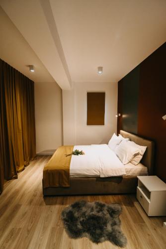 Gaudi Accommodation, Kluž (fotografie 11)