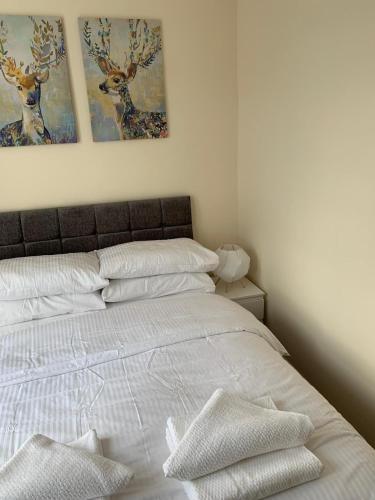 Smeaton serviced Accommodation, Liverpool (fotografie 10)