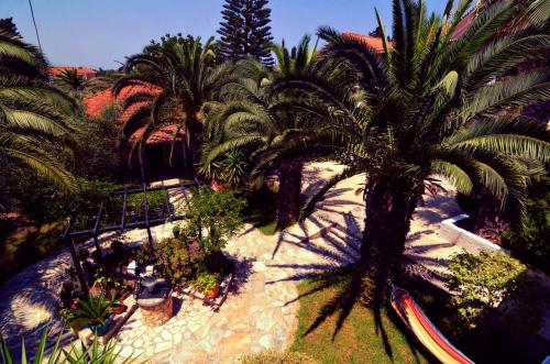 Lofos Strani - image 12