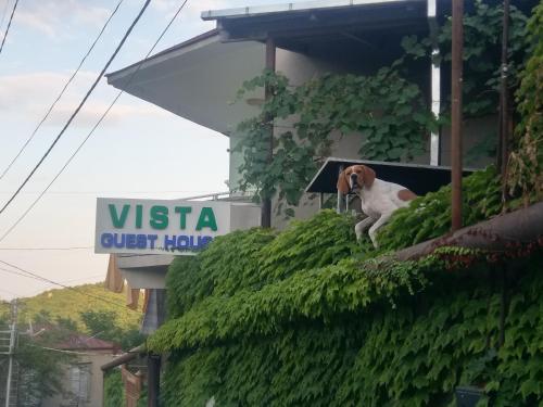 Guest House Vista Sighnaghi