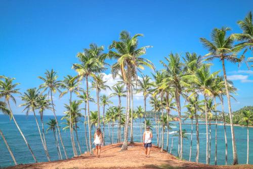 The Wave's Guest House