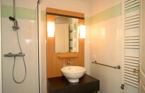 Résidence Odalys Le Pelvoux - image 12