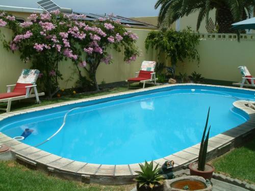 Piscina, Pension d'Avignon in Swakopmund