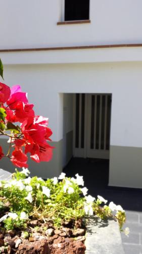  Apartaments Josep Pla in Roses