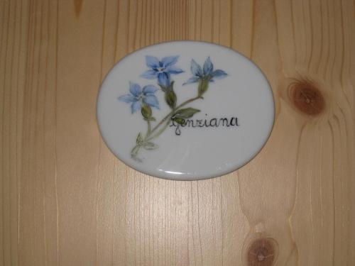 B&B Anna Maria - image 4