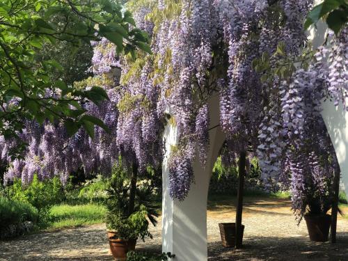 Garden, I Trulli della Natura Bio in Pozzo Salerno