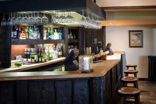 Old Swan - image 6