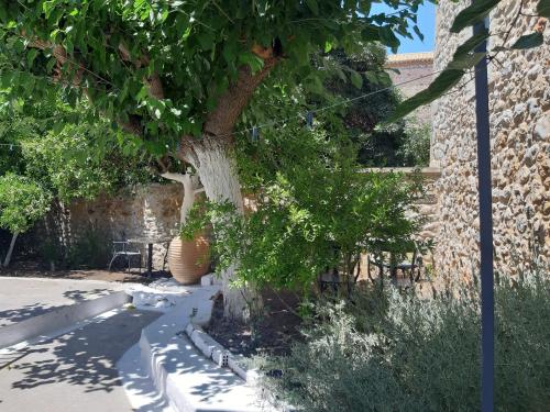  Villa Avli in Kardhamili