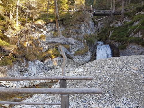 DAVID SUITEN - image 12