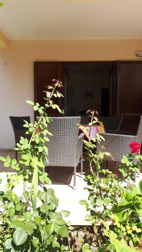 المرافق, Apartment Neda Z-velika okucnica, besplatni parking i opticki wi-fi in Marceljani