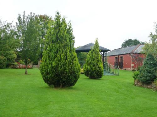 The Mill Forge - image 6