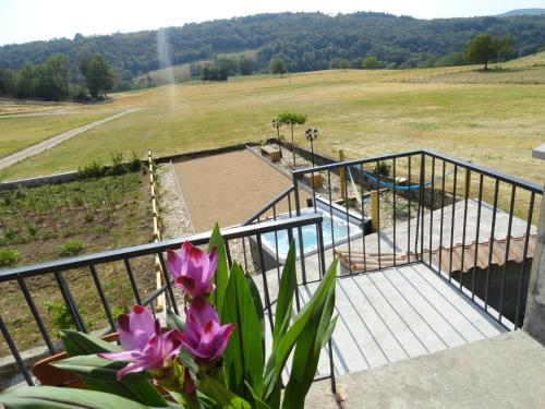 Les violettes du Bugey