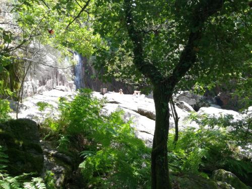  Casinha do João no Gerês in Alamela