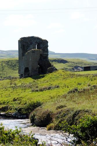 O'Connor's Guesthouse - image 3