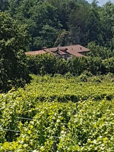  La Casa di Roby-1 appartamento la morra in La Morra
