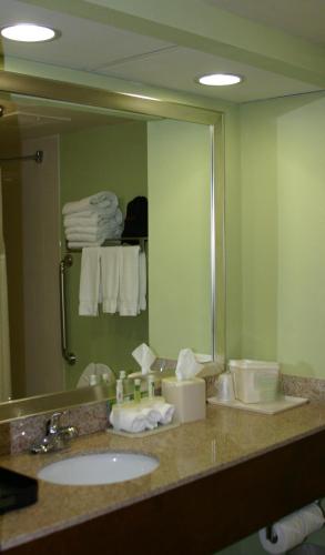 Holiday Inn Express Greenville, an IHG Hotel