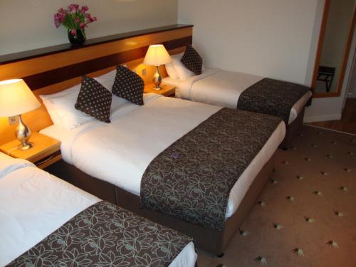 Ard Ri House Hotel - image 11