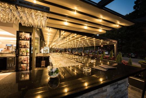 Pub/Lounge, Hotel Fontana in Vrnjacka Banja
