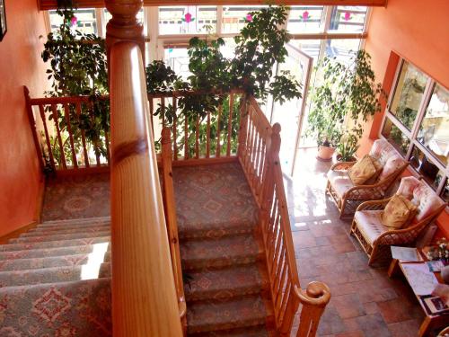O'Connor's Guesthouse - image 9