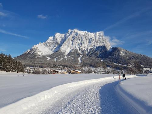 Omgeving, Happy Camp Hofherr in Lermoos