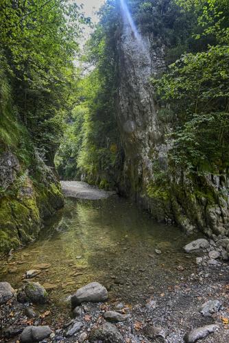 Hotel Restaurant Du PONT D'ABENSE in Montory