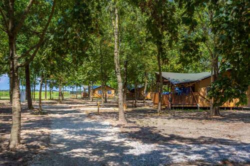 Agriturismo Tenuta Regina - Glamping luxury lodges and apartments