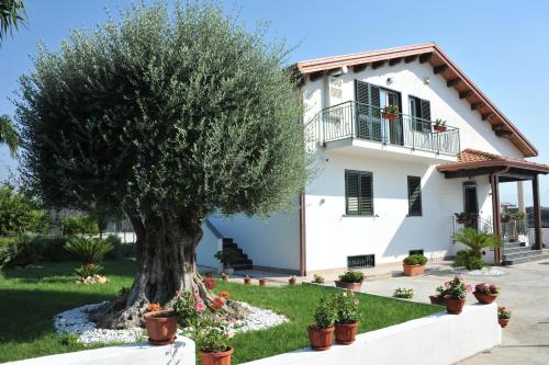  B&B Cascina Fiorita, Pension in Santa Maria La Carità