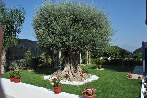  B&B Cascina Fiorita in Santa Maria La Carità