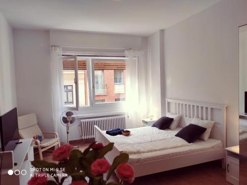  Budapest central studio, Pension in Budapest