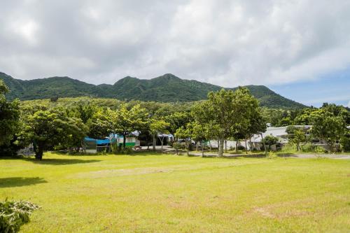 Forest in Manjhou Township