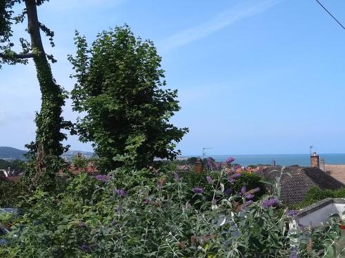 Close To Sea, , North Wales