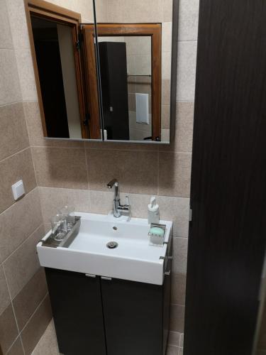 Business and Leisure apartments in Mladost 2 with FREE Garage, Sofia (photo 6)