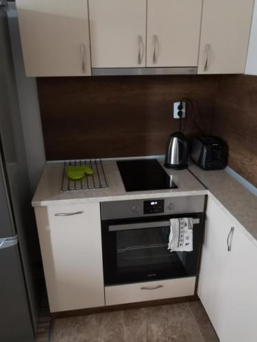 Business and Leisure apartments in Mladost 2 with FREE Garage, Sofia (photo 8)