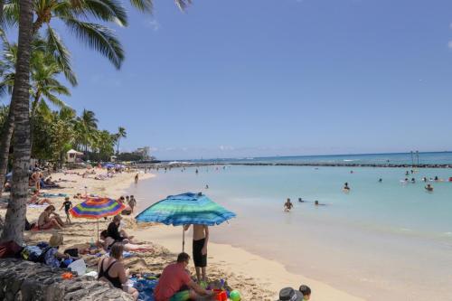 Royal Kuhio #3205 - image 3