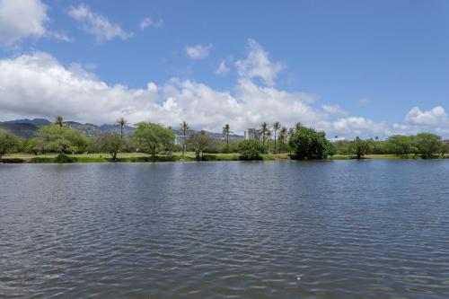Royal Kuhio #3205 - image 5